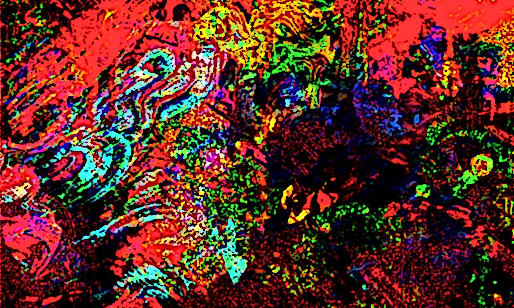 Bruce Bates Abstract Art banner